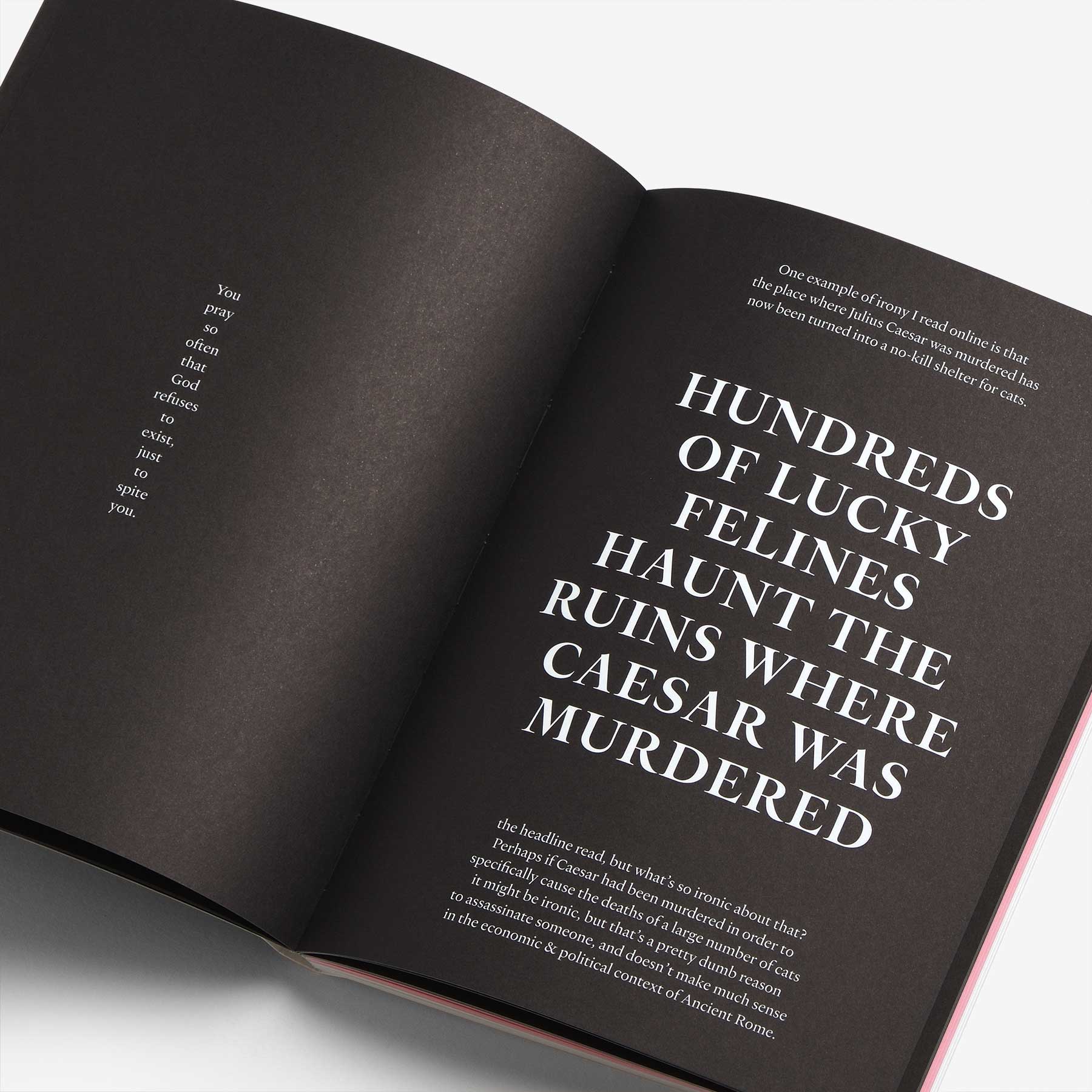 Sincerity/Irony Heldane Specimen Book