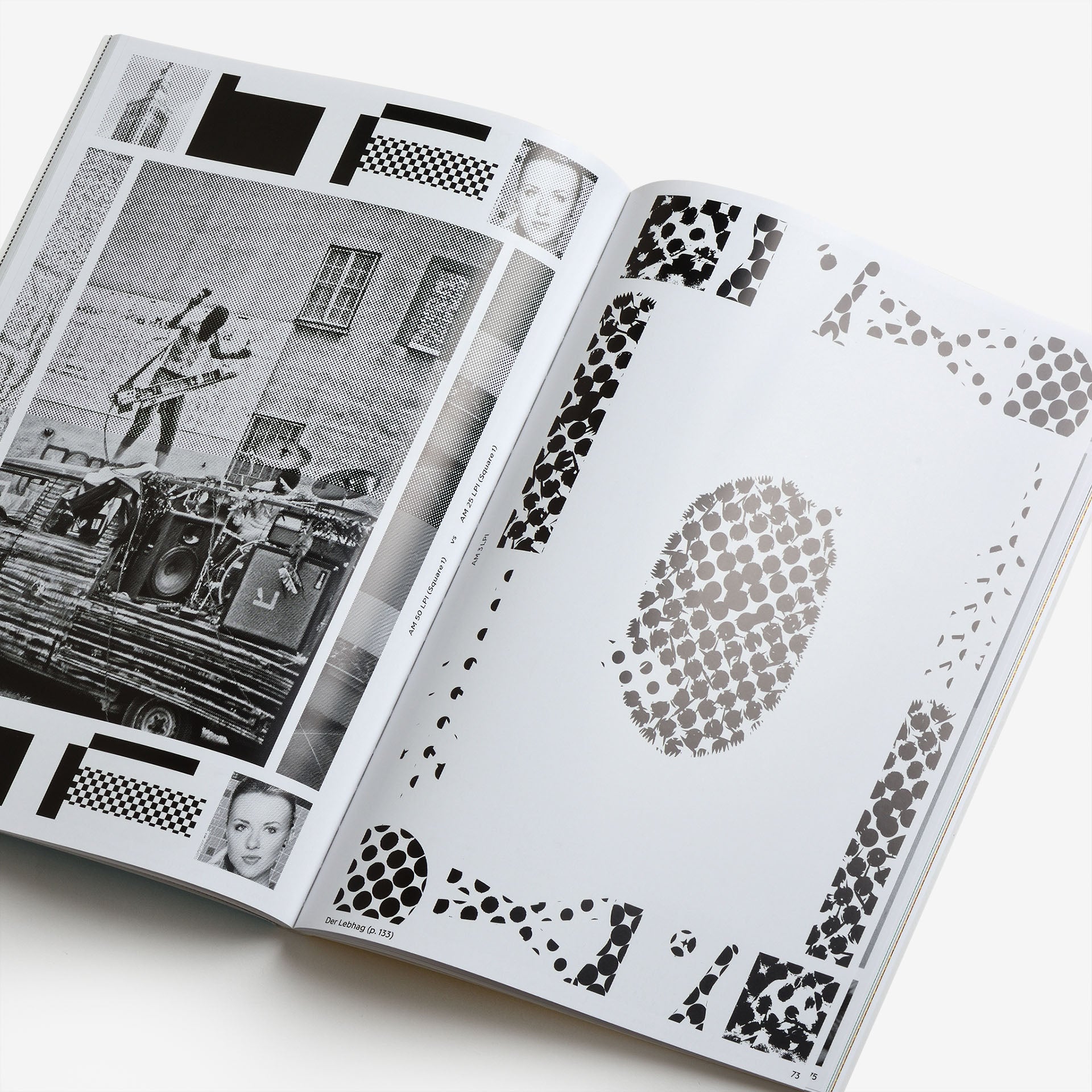 The Most Beautiful Swiss Books 2013